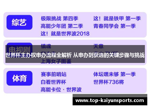 世界杯主办权申办流程全解析 从申办到获选的关键步骤与挑战