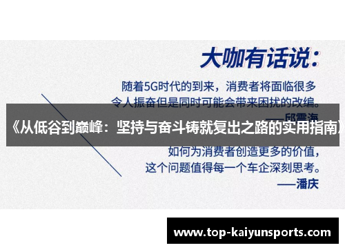 《从低谷到巅峰：坚持与奋斗铸就复出之路的实用指南》